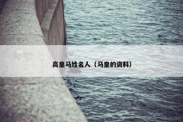 高皇马姓名人（马皇的资料）