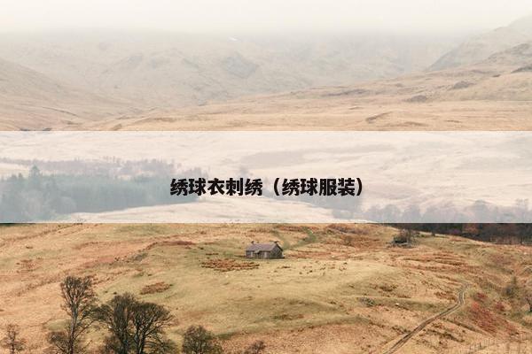 绣球衣刺绣（绣球服装）