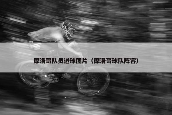 摩洛哥队员进球图片（摩洛哥球队阵容）