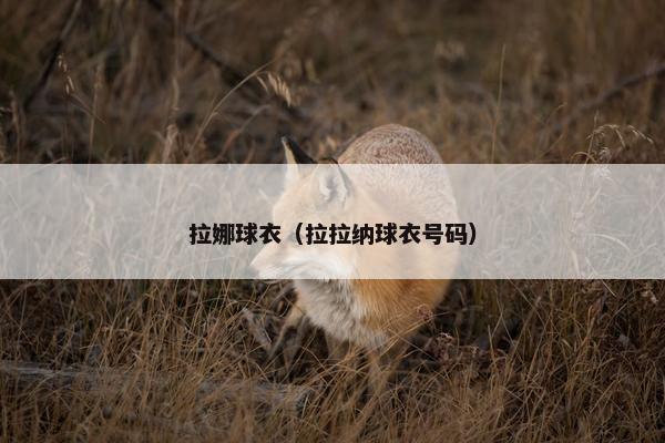 拉娜球衣（拉拉纳球衣号码）