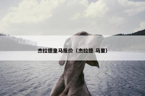 杰拉德皇马报价（杰拉德 马里）