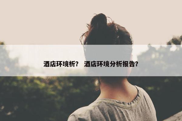 酒店环境析？ 酒店环境分析报告？