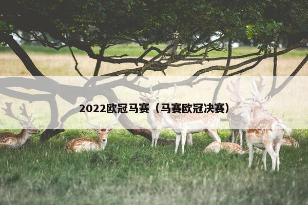 2022欧冠马赛（马赛欧冠决赛）