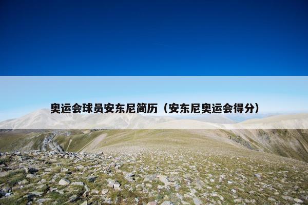 奥运会球员安东尼简历（安东尼奥运会得分）