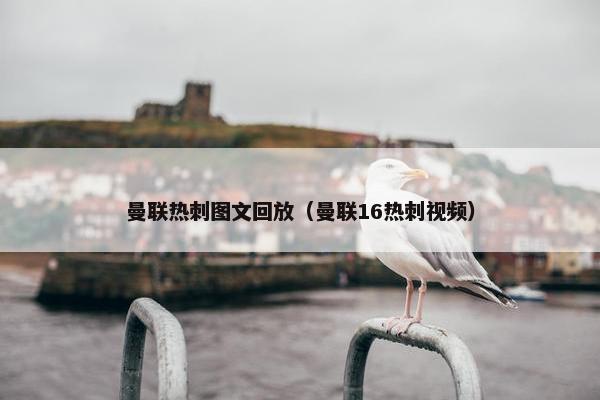 曼联热刺图文回放（曼联16热刺视频）