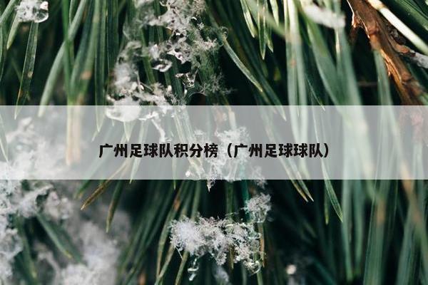 广州足球队积分榜(广州足球球队) 广州足球队积分榜(广州足球球队)