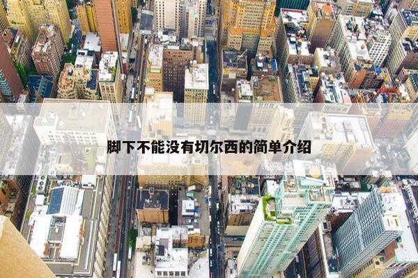 脚下不能没有切尔西的简单介绍