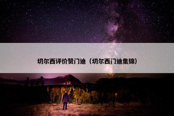 切尔西评价赞门迪（切尔西门迪集锦）