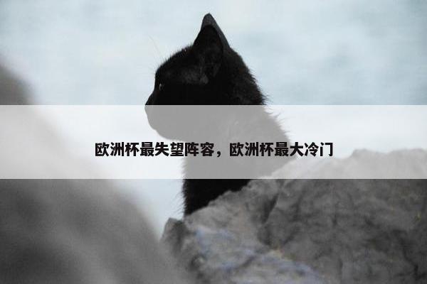 欧洲杯最失望阵容，欧洲杯最大冷门
