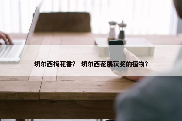 切尔西梅花香? 切尔西花展获奖的植物? 切尔西梅花香? 切尔西花展获奖的植物?