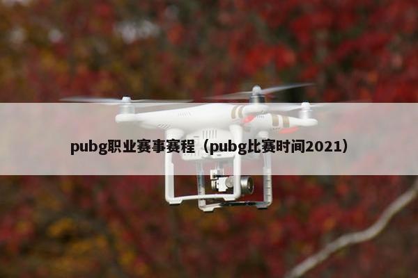 pubg职业赛事赛程（pubg比赛时间2021）