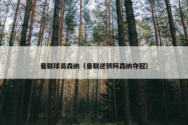 曼联球员森纳(曼联逆转阿森纳夺冠) 曼联球员森纳(曼联逆转阿森纳夺冠)