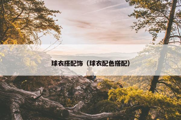 球衣搭配饰（球衣配色搭配）