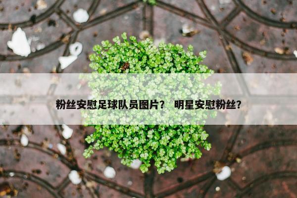 粉丝安慰足球队员图片? 明星安慰粉丝? 粉丝安慰足球队员图片? 明星安慰粉丝?