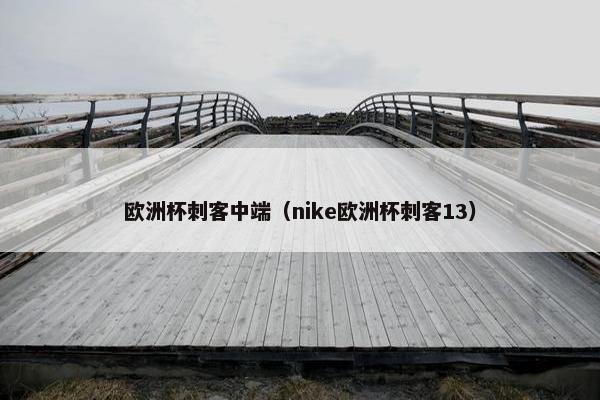 欧洲杯刺客中端(nike欧洲杯刺客13) 欧洲杯刺客中端(nike欧洲杯刺客13)