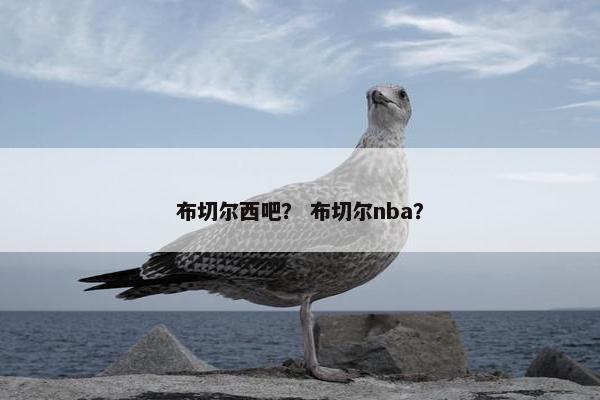 布切尔西吧? 布切尔nba? 布切尔西吧? 布切尔nba?