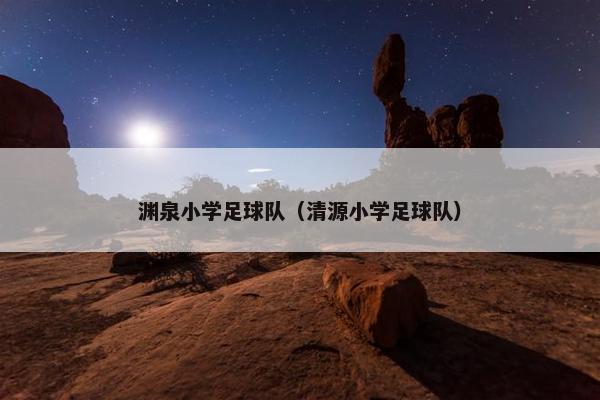 渊泉小学足球队(清源小学足球队) 渊泉小学足球队(清源小学足球队)