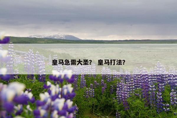皇马急需大圣? 皇马打法? 皇马急需大圣? 皇马打法?