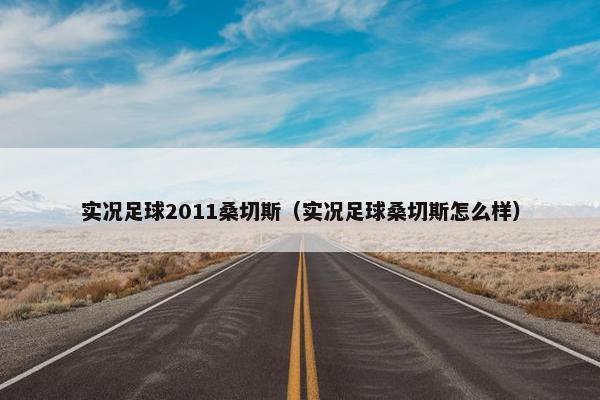 实况足球2011桑切斯(实况足球桑切斯怎么样) 实况足球2011桑切斯(实况足球桑切斯怎么样)