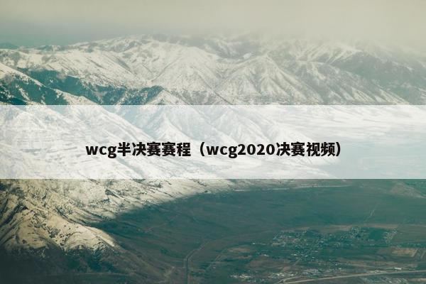 wcg半决赛赛程（wcg2020决赛视频）