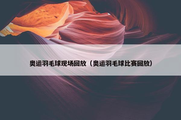 奥运羽毛球现场回放（奥运羽毛球比赛回放）