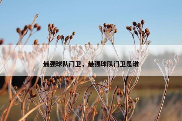 最强球队门卫,最强球队门卫是谁 最强球队门卫,最强球队门卫是谁