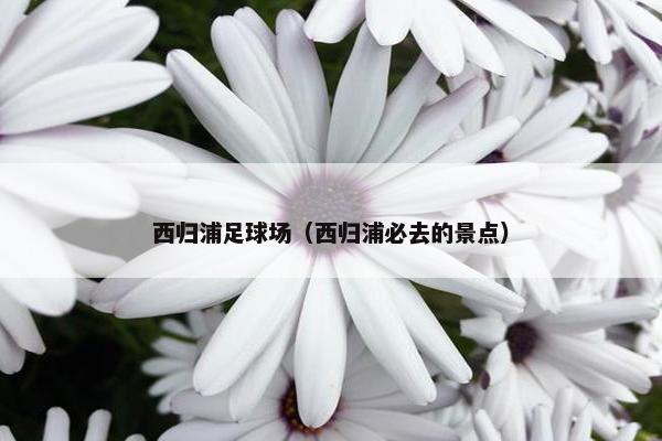 西归浦足球场(西归浦必去的景点) 西归浦足球场(西归浦必去的景点)