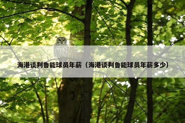 海港谈判鲁能球员年薪(海港谈判鲁能球员年薪多少) 海港谈判鲁能球员年薪(海港谈判鲁能球员年薪多少)