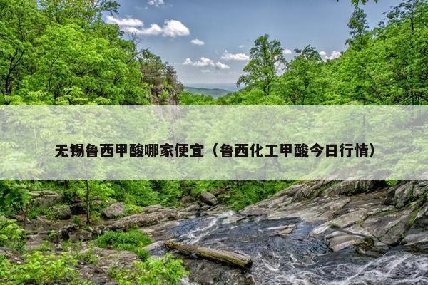 无锡鲁西甲酸哪家便宜(鲁西化工甲酸今日行情) 无锡鲁西甲酸哪家便宜(鲁西化工甲酸今日行情)