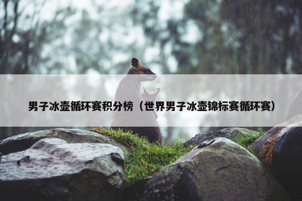 男子冰壶循环赛积分榜(世界男子冰壶锦标赛循环赛) 男子冰壶循环赛积分榜(世界男子冰壶锦标赛循环赛)