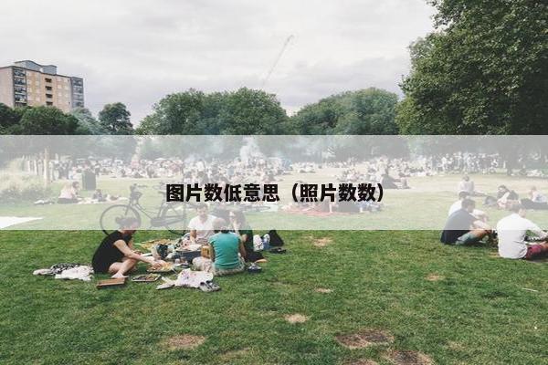 图片数低意思(照片数数) 图片数低意思(照片数数)
