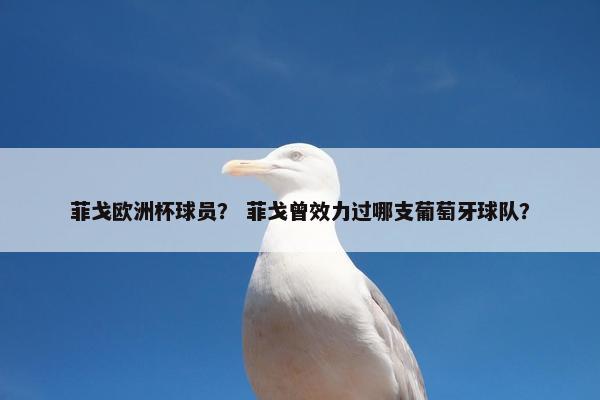 菲戈欧洲杯球员? 菲戈曾效力过哪支葡萄牙球队? 菲戈欧洲杯球员? 菲戈曾效力过哪支葡萄牙球队?