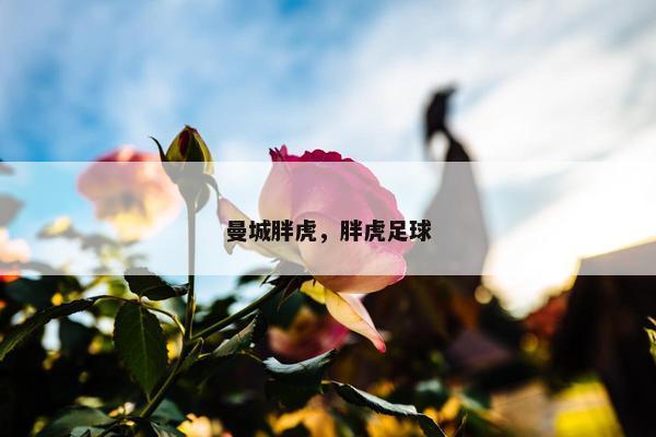 曼城胖虎,胖虎足球 曼城胖虎,胖虎足球