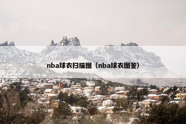 nba球衣扫描图（nba球衣图鉴）