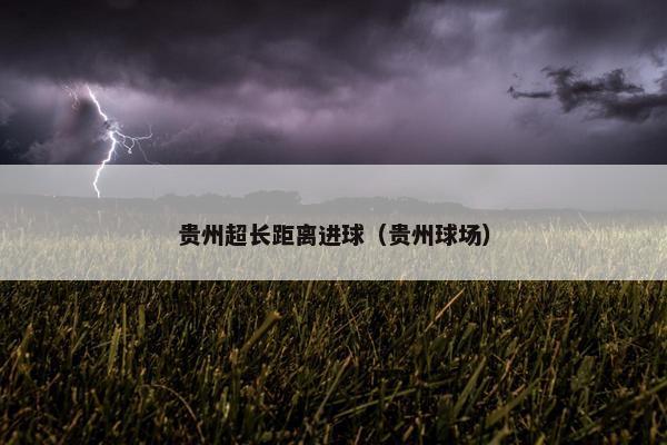 贵州超长距离进球（贵州球场）