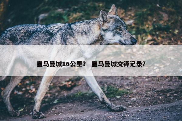 皇马曼城16公里？ 皇马曼城交锋记录？