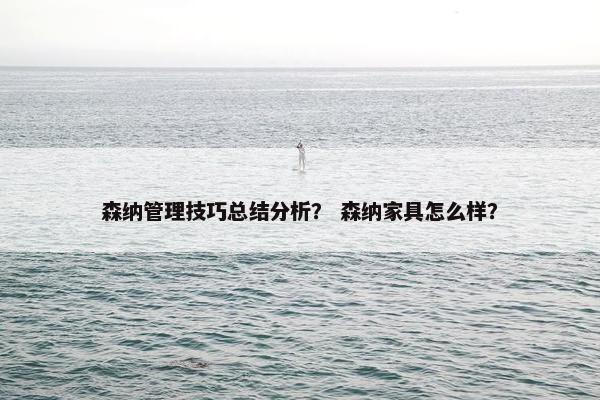 森纳管理技巧总结分析？ 森纳家具怎么样？