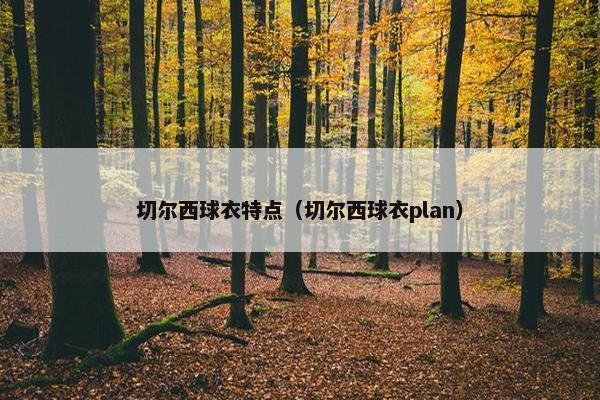 切尔西球衣特点（切尔西球衣plan）