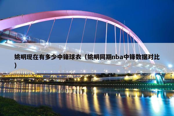 姚明现在有多少中锋球衣（姚明同期nba中锋数据对比）