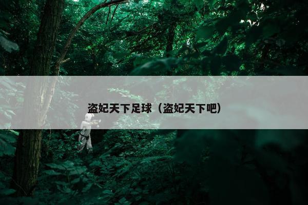 盗妃天下足球（盗妃天下吧）
