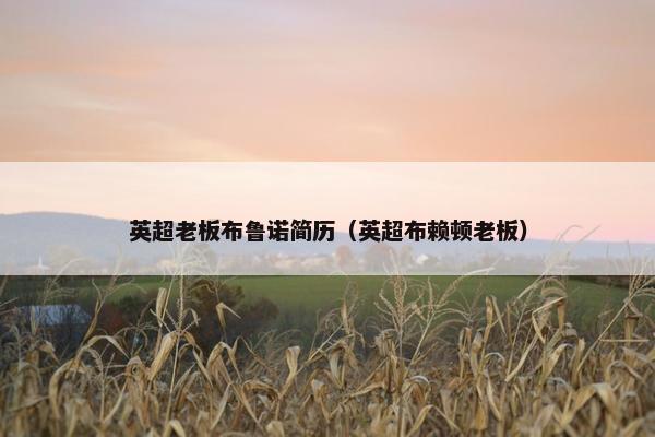 英超老板布鲁诺简历（英超布赖顿老板）