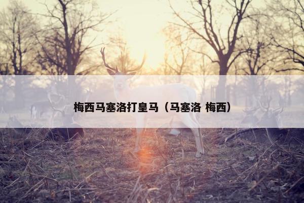 梅西马塞洛打皇马（马塞洛 梅西）