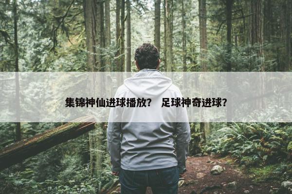 集锦神仙进球播放？ 足球神奇进球？