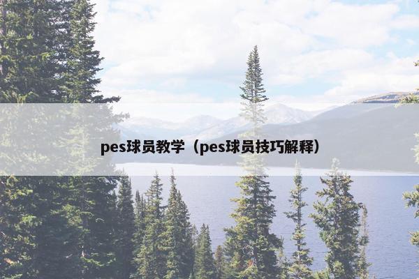 pes球员教学（pes球员技巧解释）