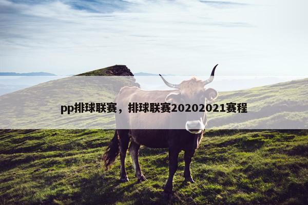 pp排球联赛，排球联赛20202021赛程