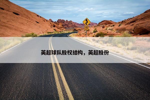 英超球队股权结构，英超股份