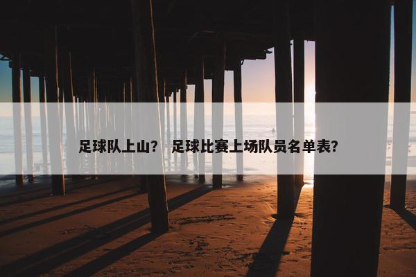足球队上山？ 足球比赛上场队员名单表？