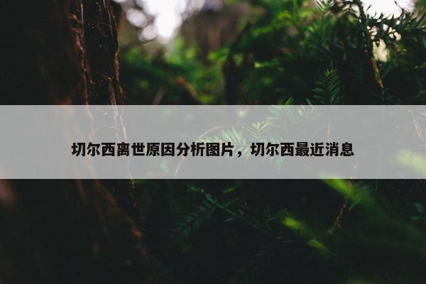 切尔西离世原因分析图片，切尔西最近消息