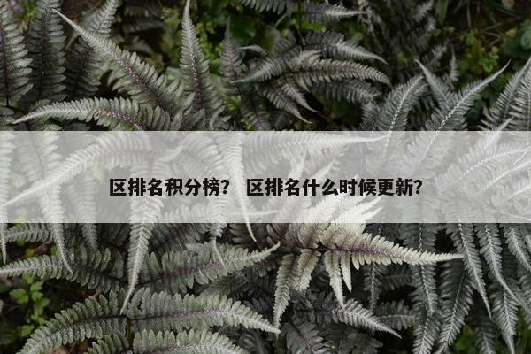 区排名积分榜？ 区排名什么时候更新？