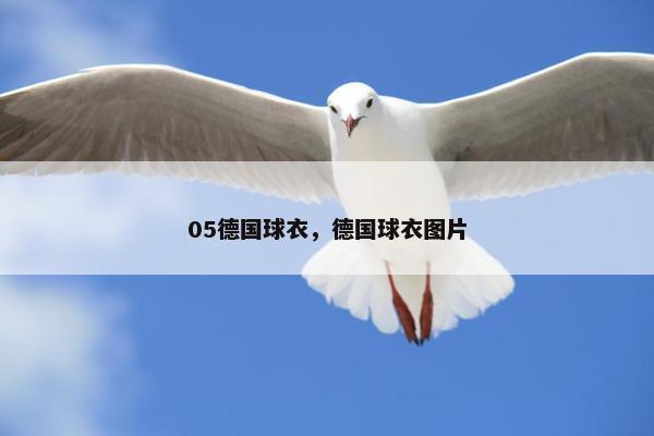 05德国球衣，德国球衣图片